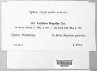 Image Associated With the Occurence